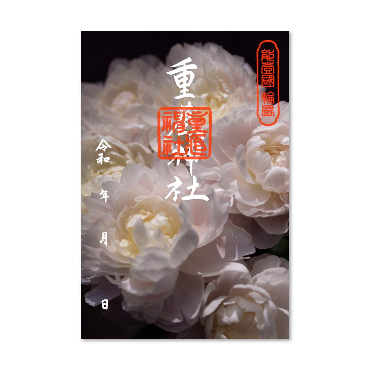 43.-芍薬